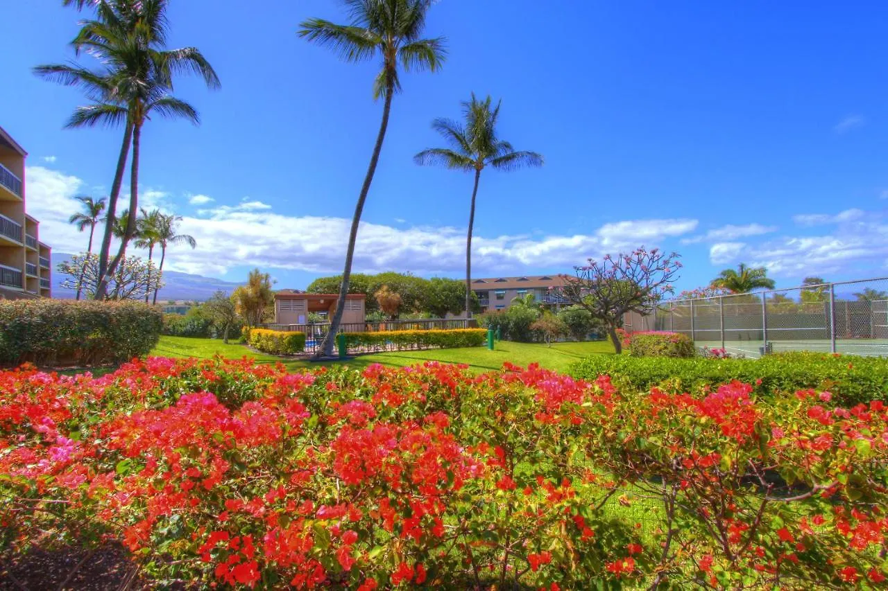 Maui Vista 2220 Apartment Kihei United States