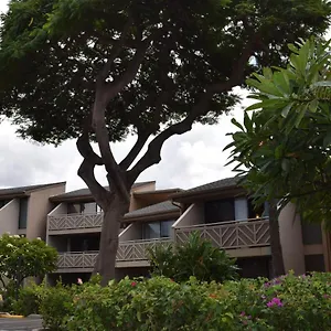 116 Apartment